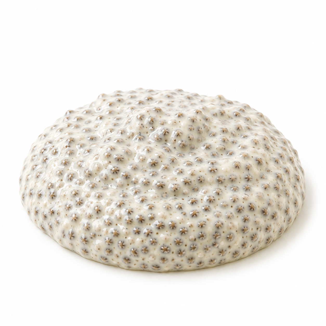 Chia Pudding